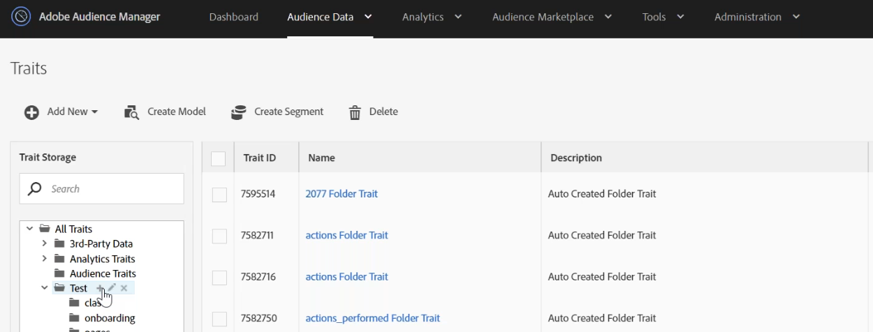 IEDGE | Adobe Audience Manager